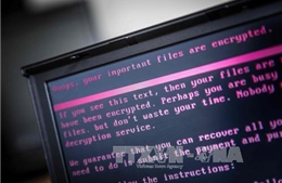 Europol cảnh báo các vụ tấn công mạng mới tinh vi hơn WannaCry